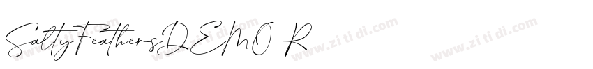 SaltyFeathersDEMO R字体转换